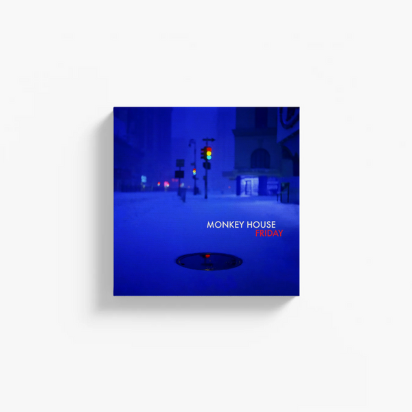 Friday - Canvas Prints